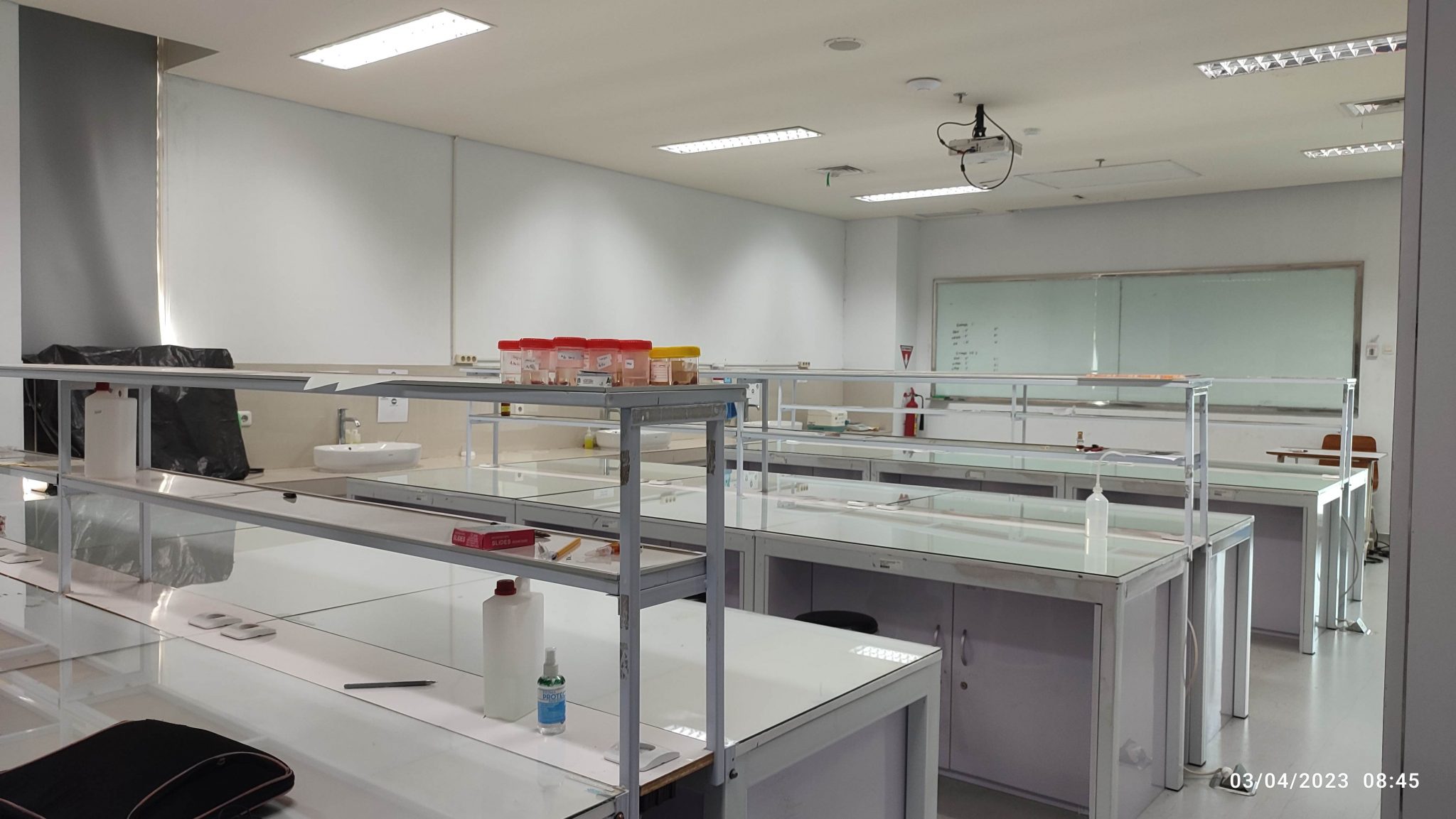 LAB BIOLOGI MOLEKULER_06