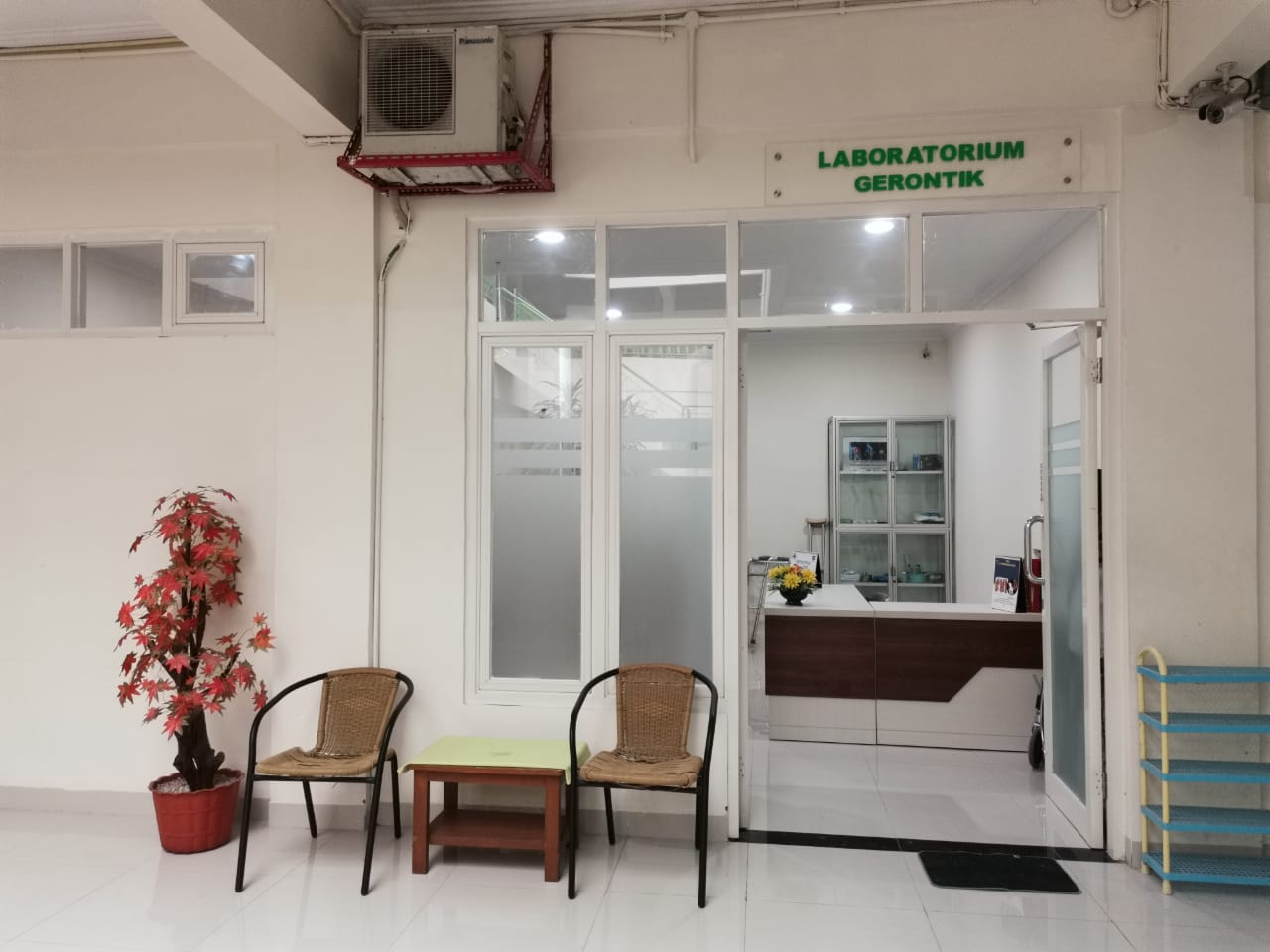 LAB GERONTIK_06
