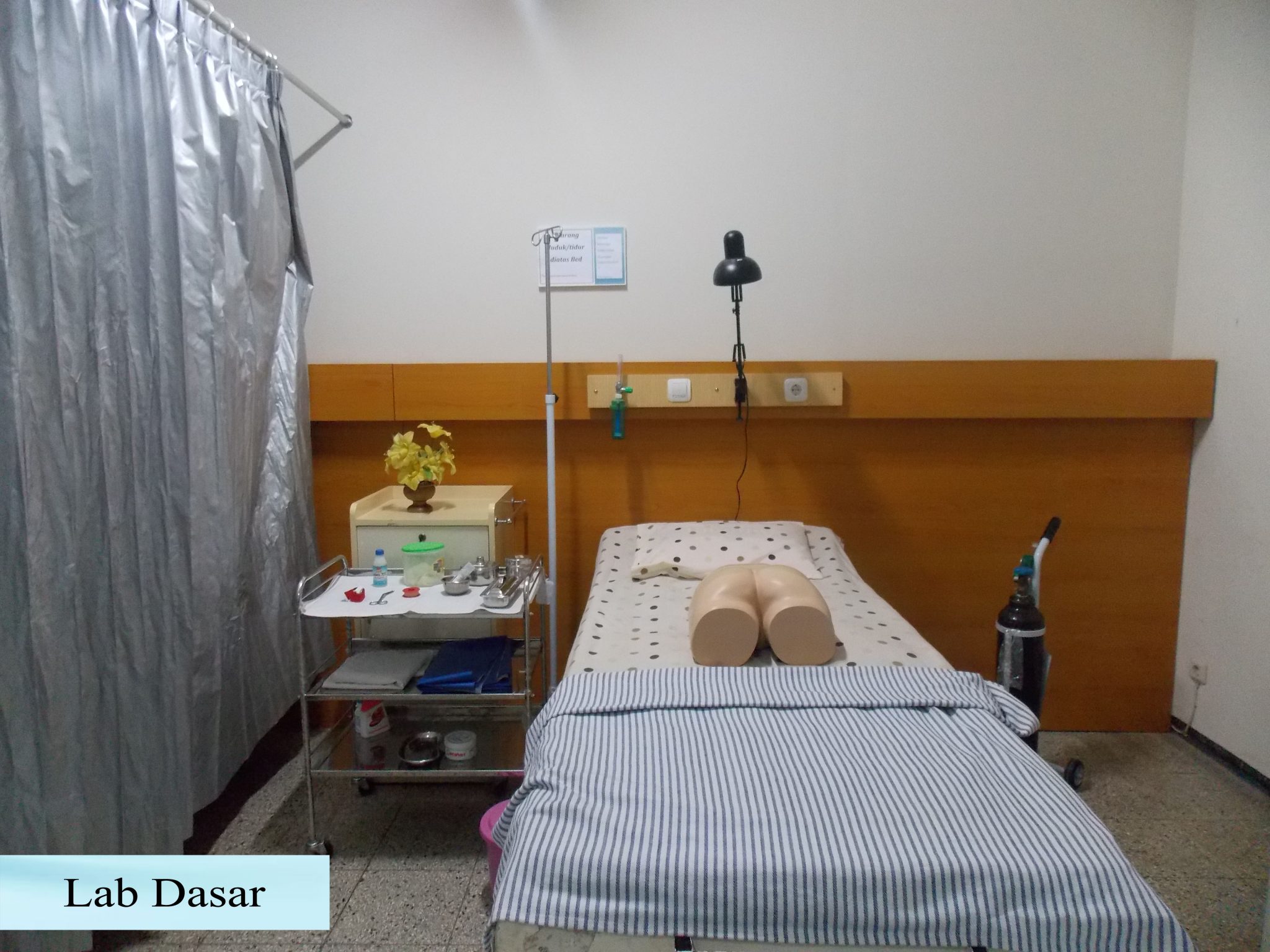 LAB DASAR_01